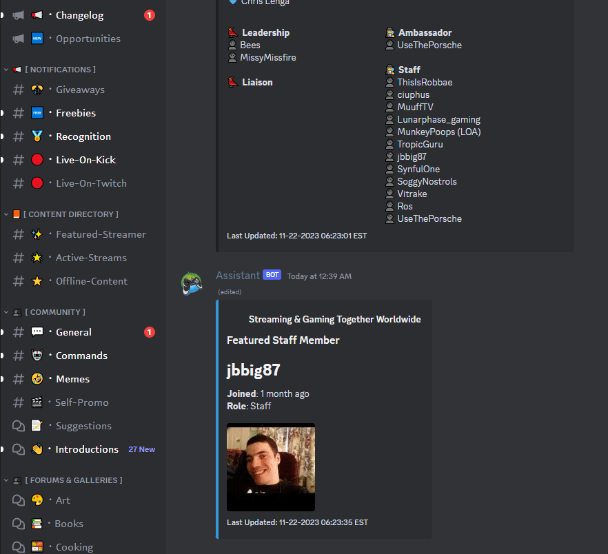 Streamer Bot (motion) - 2